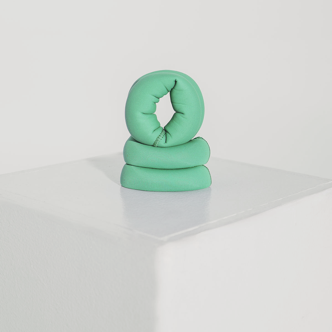 Premium 1 kg Wrist Weights (Pack of 2x 1kg) - Green